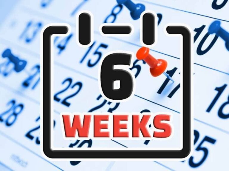 6-weeks-from-today-and-6-weeks-ago-calculating-dates